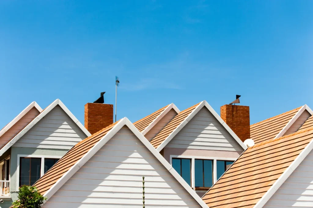 Premium Roof Installation Services